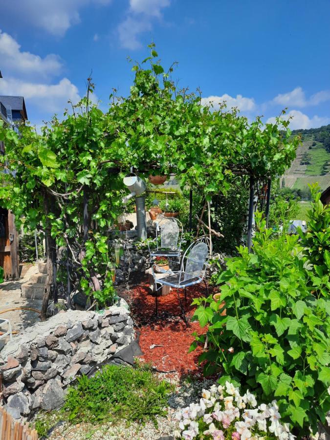 Gaestehaus Moselblick Тритенхайм Екстериор снимка